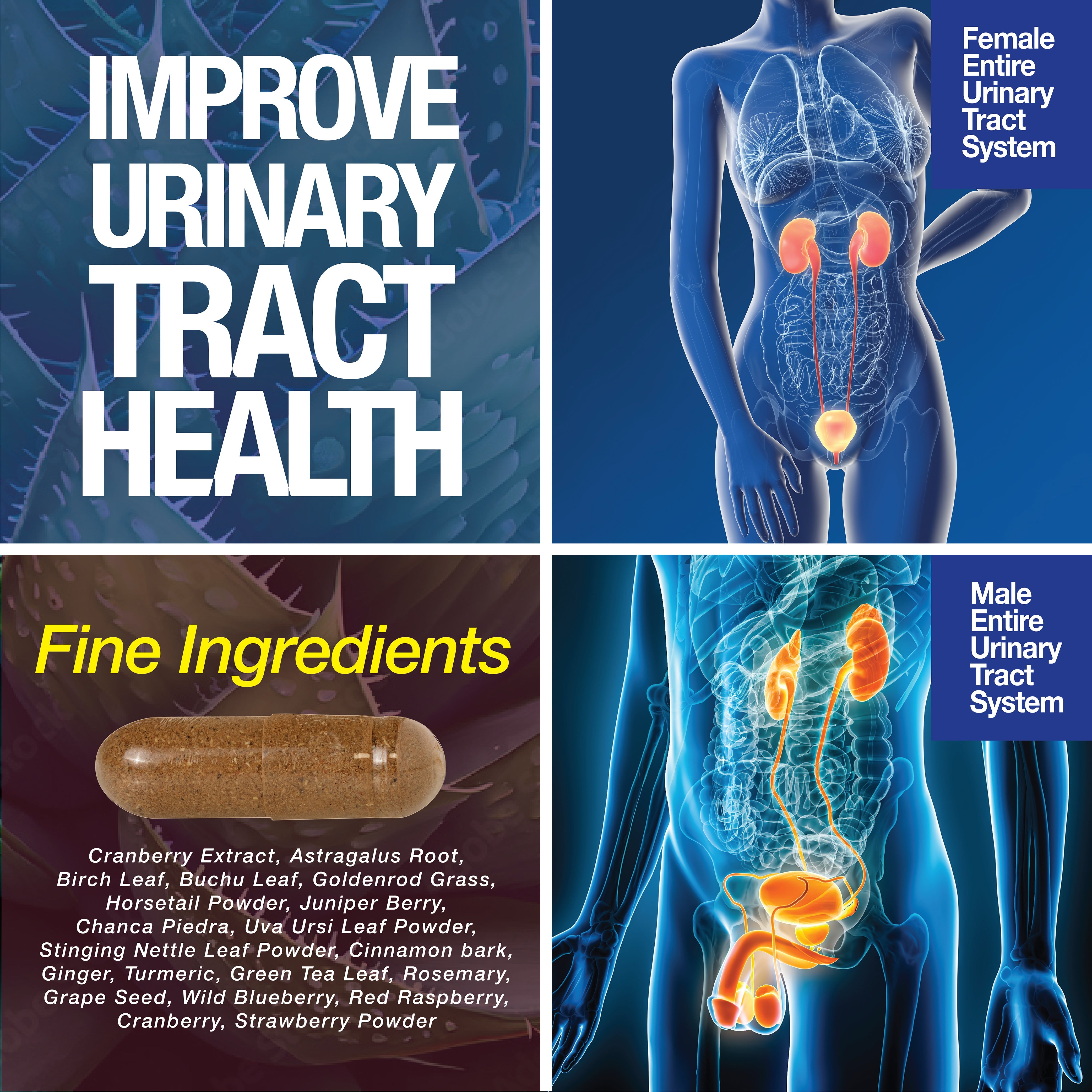 Kidney Support Cleanse Detox Repair Capsules