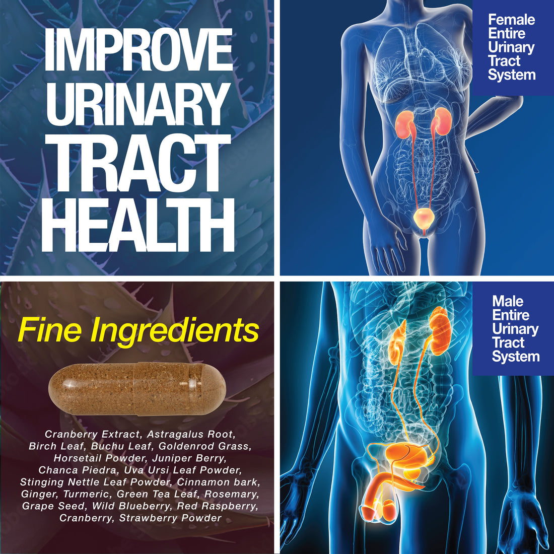 Kidney Support Cleanse Detox Repair Capsules