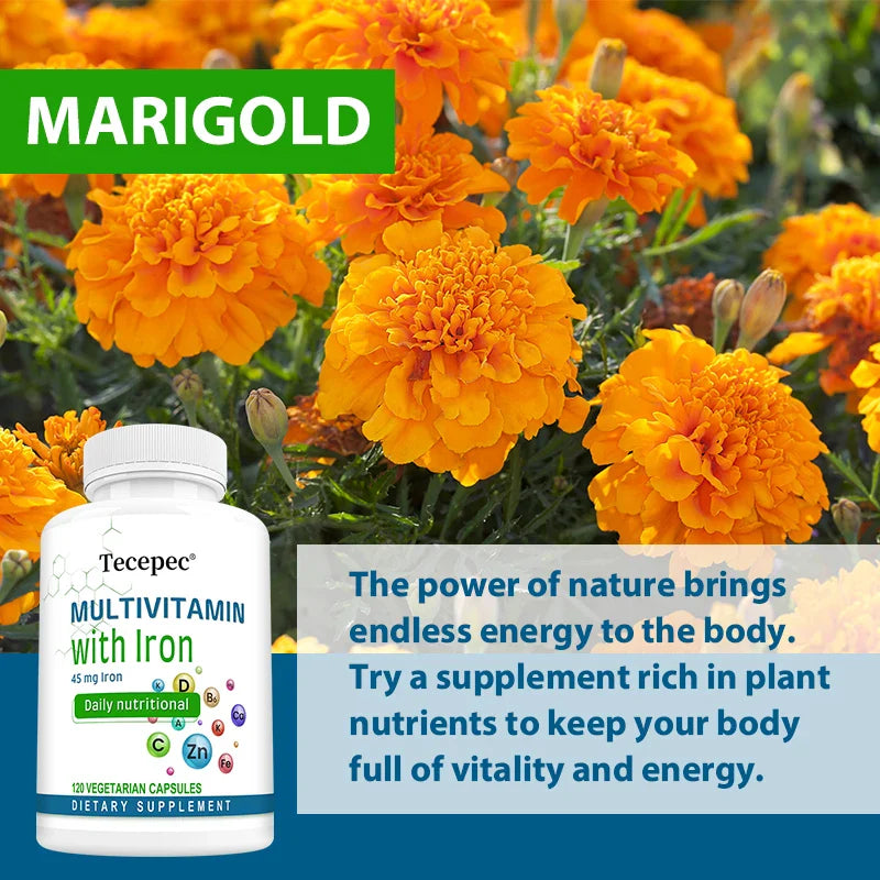 Multivitamin Supplement with Iron, Zinc, Calcium for Overall Health